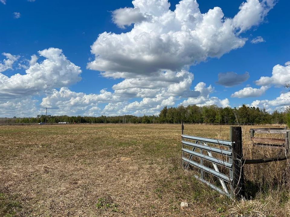 待售: $3,299,455 (68.03 acres)