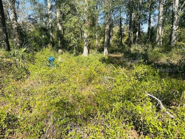 For Sale: $55,000 (0.69 acres)