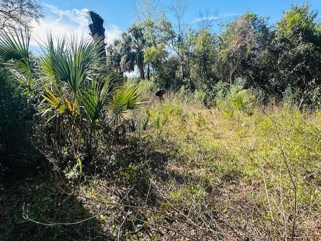 For Sale: $55,000 (0.69 acres)
