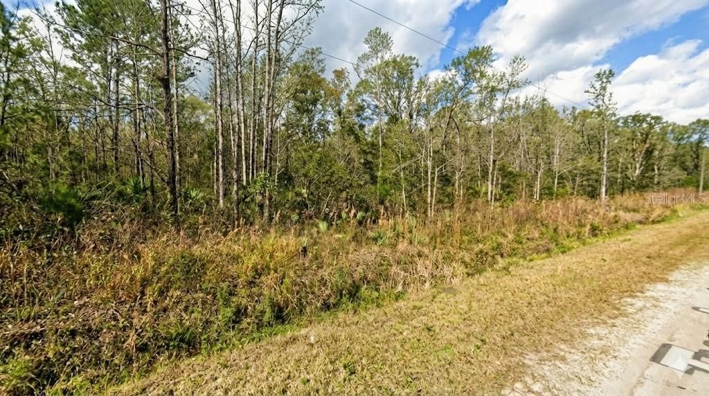 En Venta: $23,500 (1.13 acres)