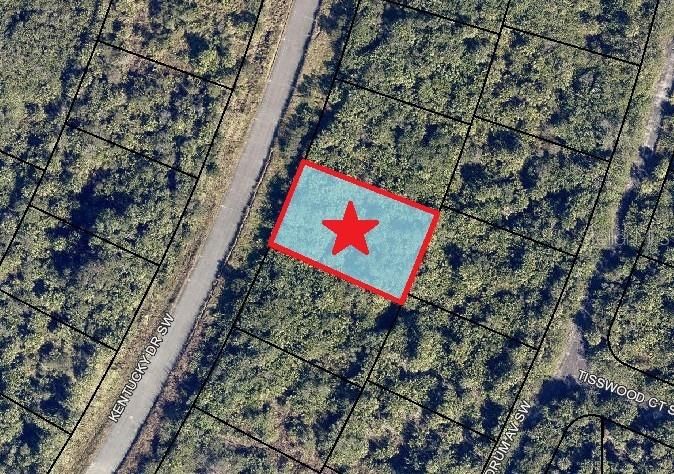 На продажу: $13,999 (0.23 acres)