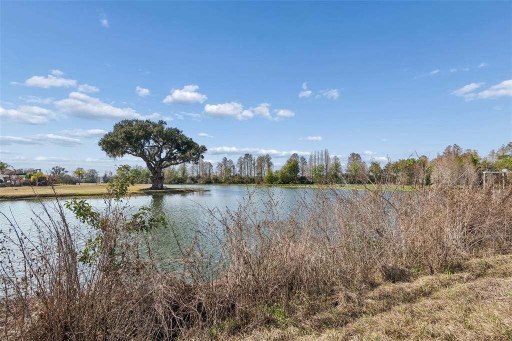 For Sale: $699,999 (1.63 acres)