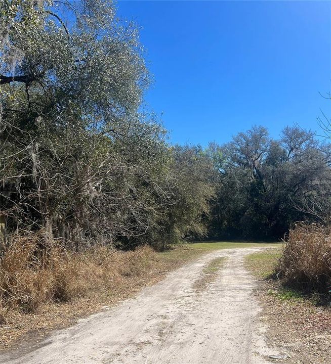 На продажу: $145,000 (1.30 acres)