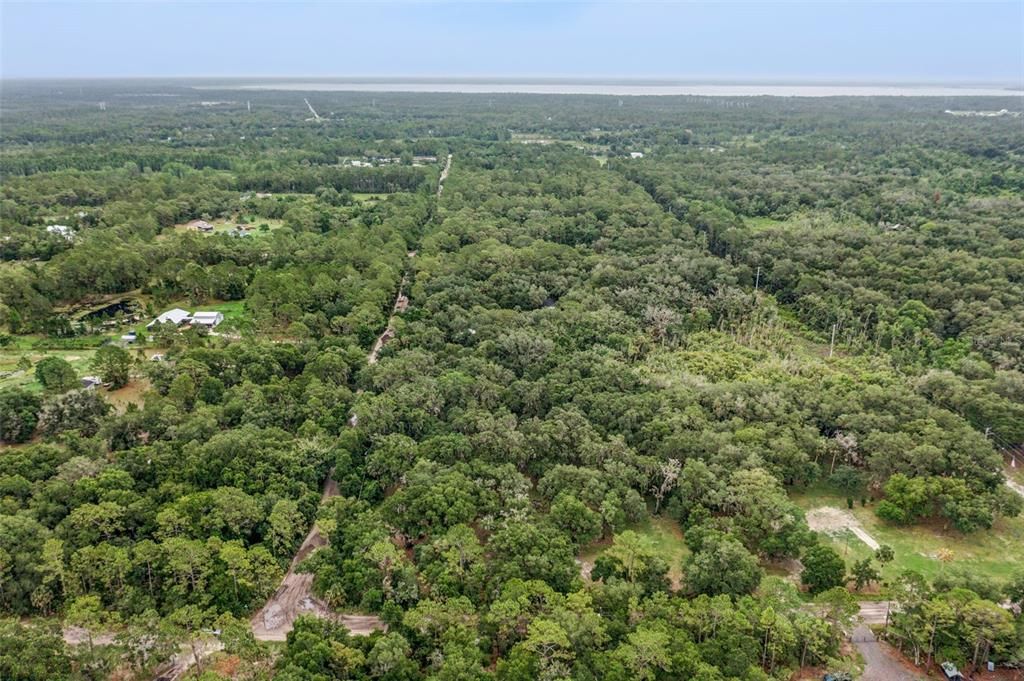 待售: $259,000 (5.00 acres)