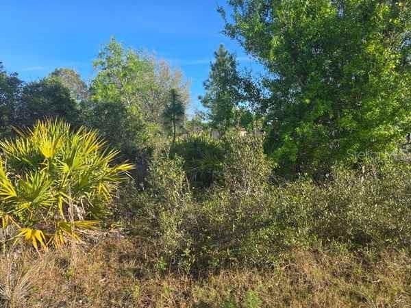 На продажу: $170,000 (0.25 acres)