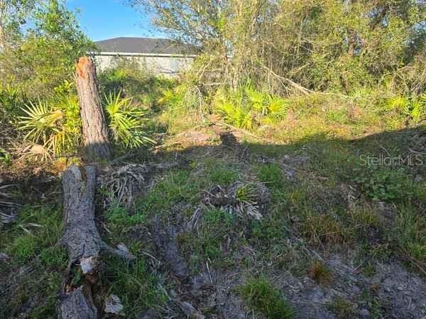 На продажу: $170,000 (0.25 acres)