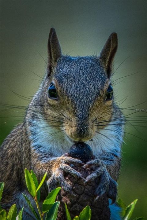 待售: $109,900 (2 贝兹, 2 浴室, 1108 平方英尺)