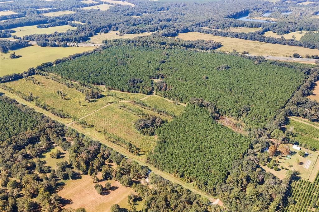 合同活跃: $1,679,000 (146.88 acres)