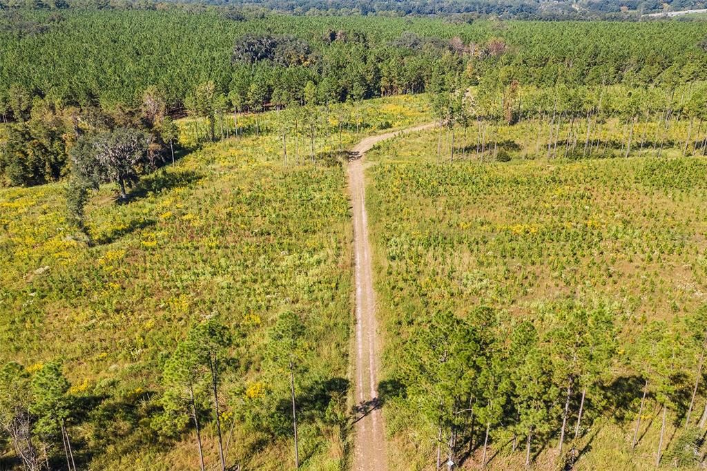 合同活跃: $1,679,000 (146.88 acres)