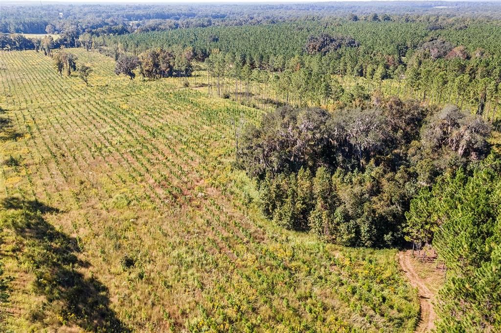 合同活跃: $1,679,000 (146.88 acres)