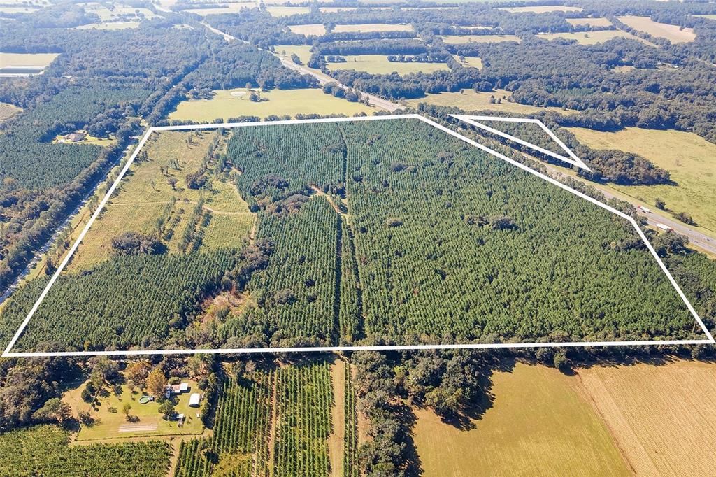 合同活跃: $1,679,000 (146.88 acres)