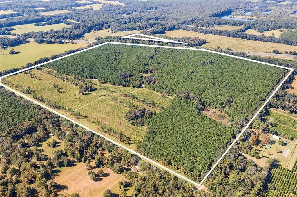 合同活跃: $1,679,000 (146.88 acres)