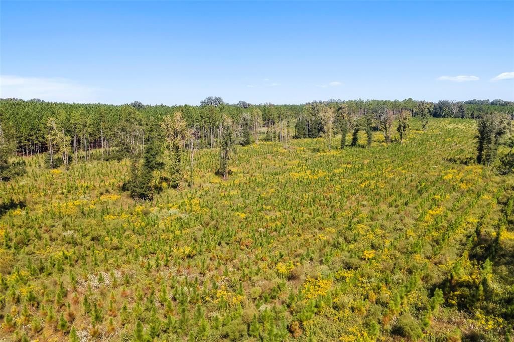 合同活跃: $1,679,000 (146.88 acres)