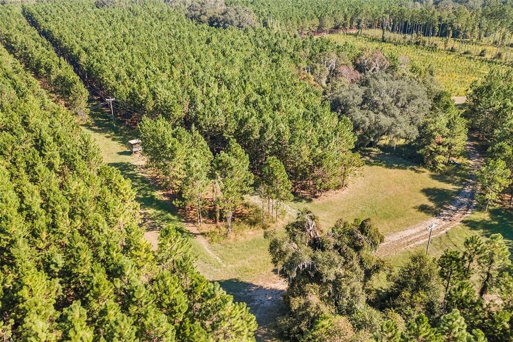 合同活跃: $1,679,000 (146.88 acres)