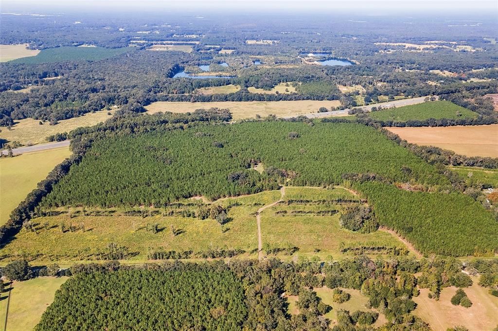 合同活跃: $1,679,000 (146.88 acres)