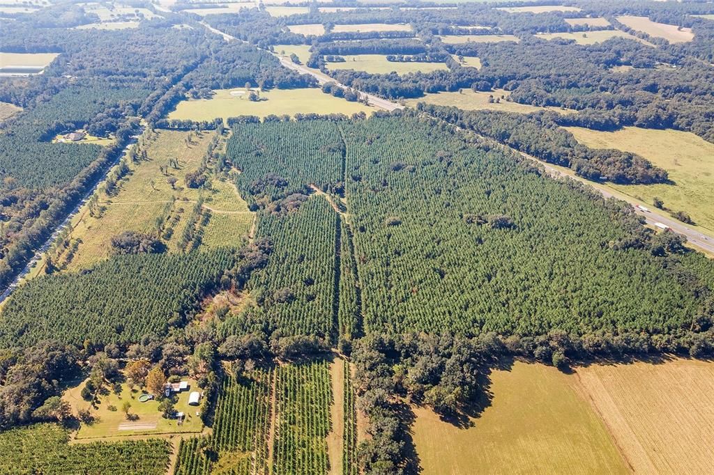 合同活跃: $1,679,000 (146.88 acres)