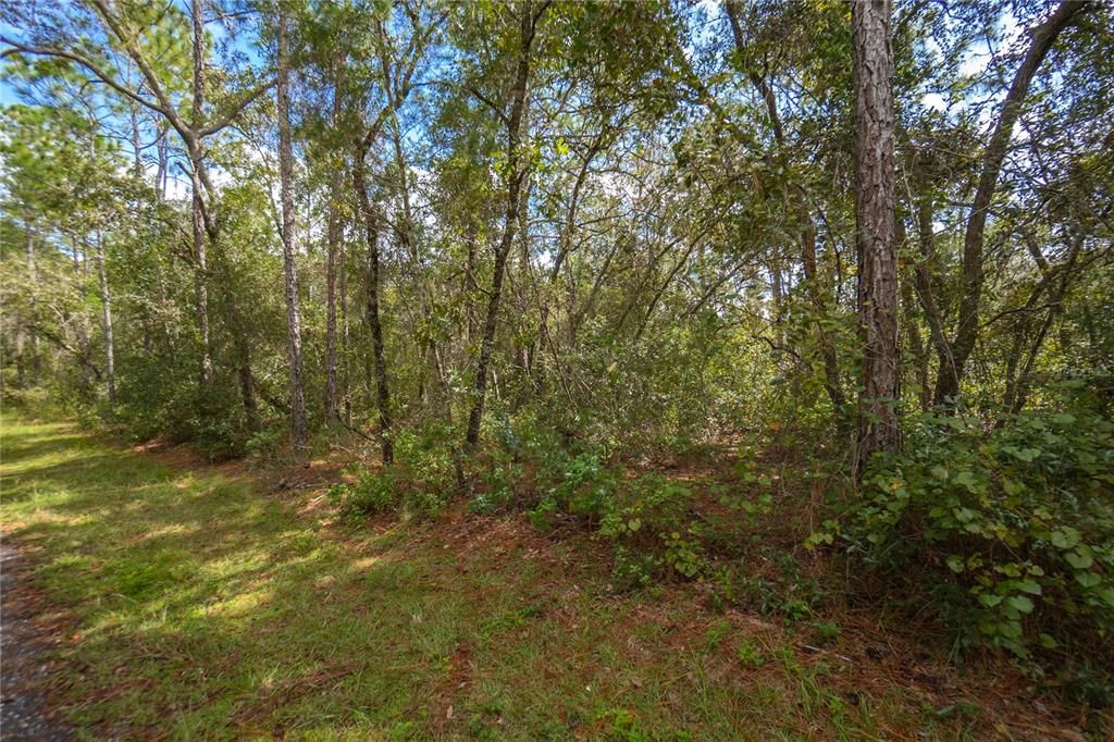 For Sale: $19,500 (0.22 acres)