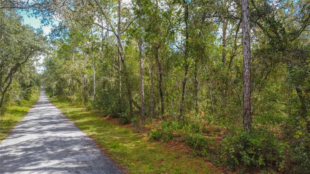 For Sale: $19,500 (0.22 acres)