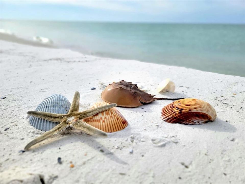 En Venta: $960,000 (0.16 acres)