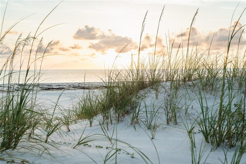 En Venta: $960,000 (0.16 acres)