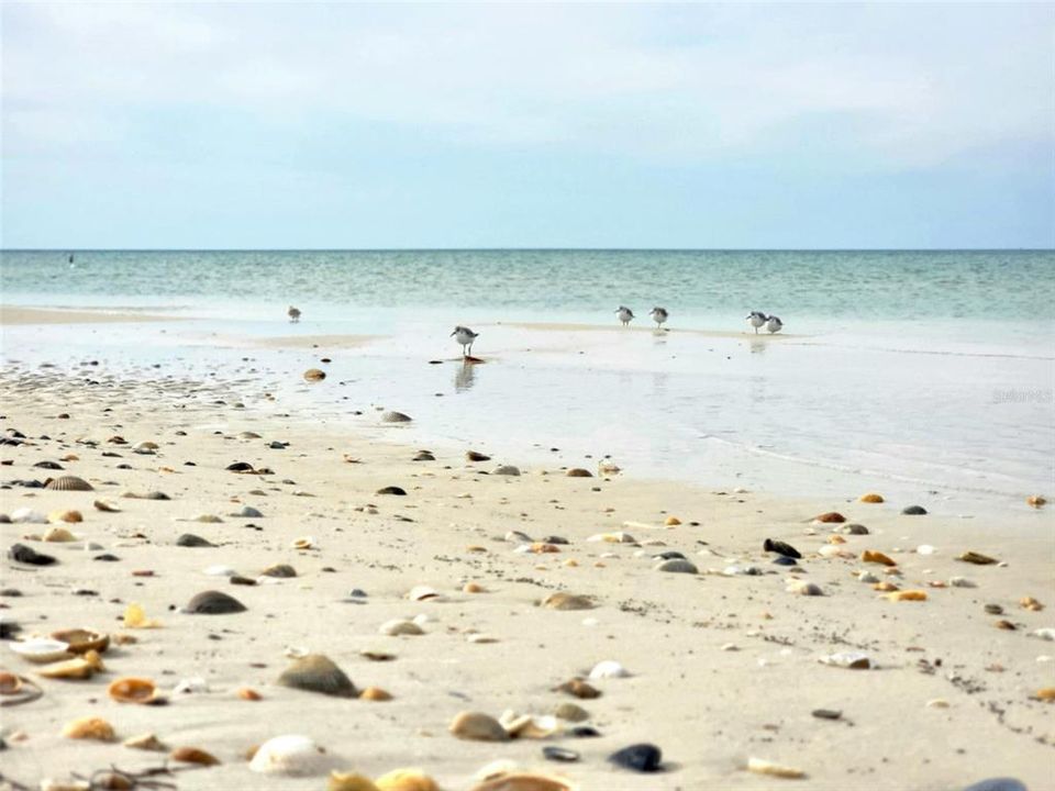 En Venta: $960,000 (0.16 acres)