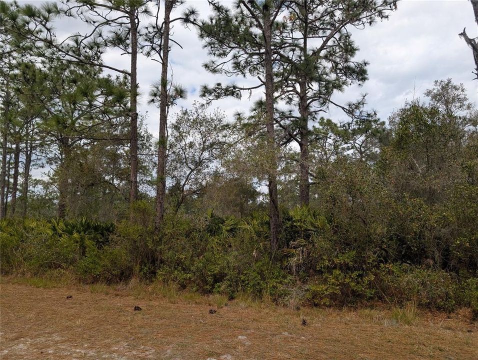 En Venta: $35,000 (1.00 acres)