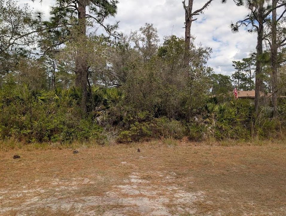 En Venta: $35,000 (1.00 acres)