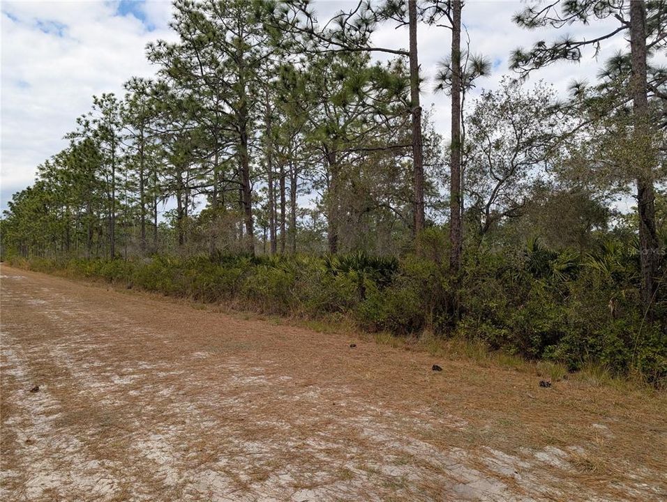 En Venta: $35,000 (1.00 acres)