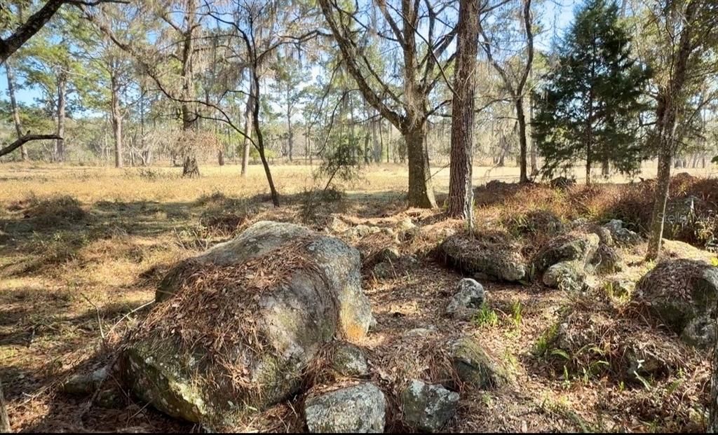 待售: $1,450,000 (29.00 acres)