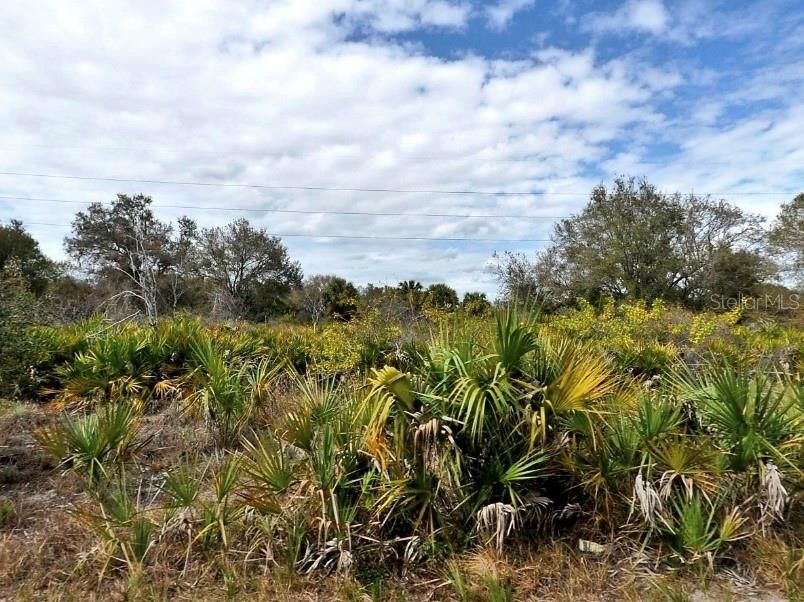 Active With Contract: $8,000 (0.23 acres)