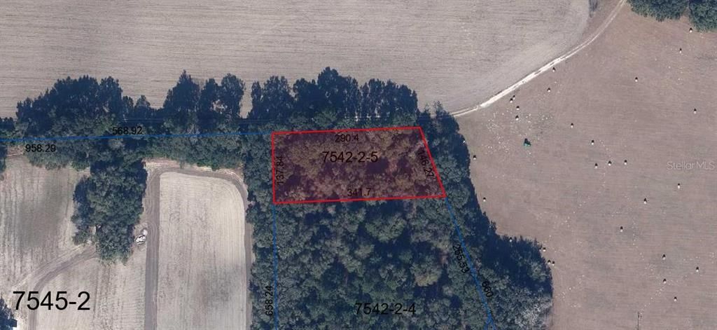 На продажу: $6,999 (1.00 acres)