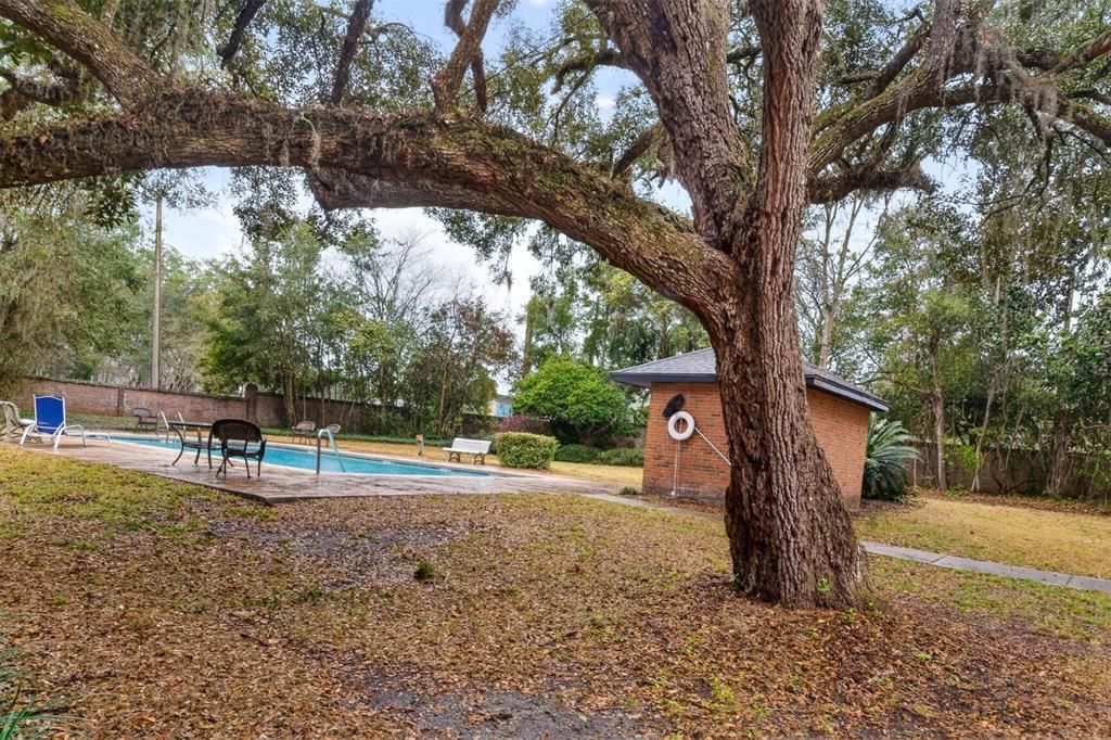 Active With Contract: $232,000 (3 beds, 2 baths, 1636 Square Feet)