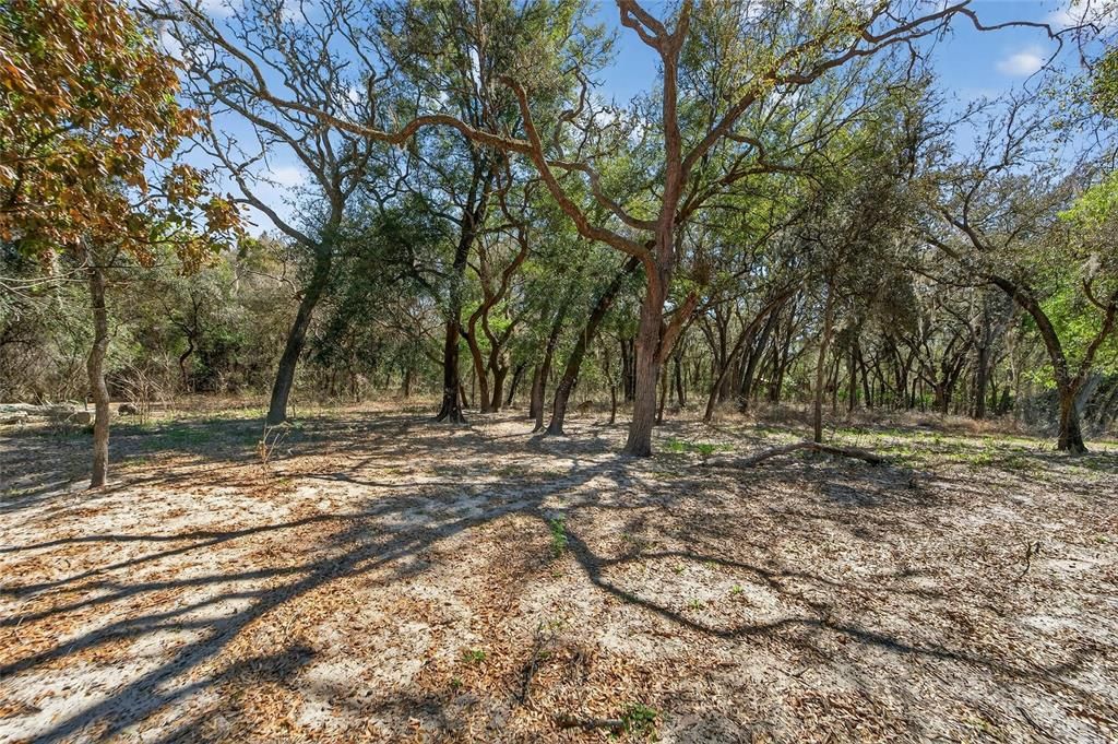 En Venta: $350,000 (3 camas, 2 baños, 1150 Pies cuadrados)