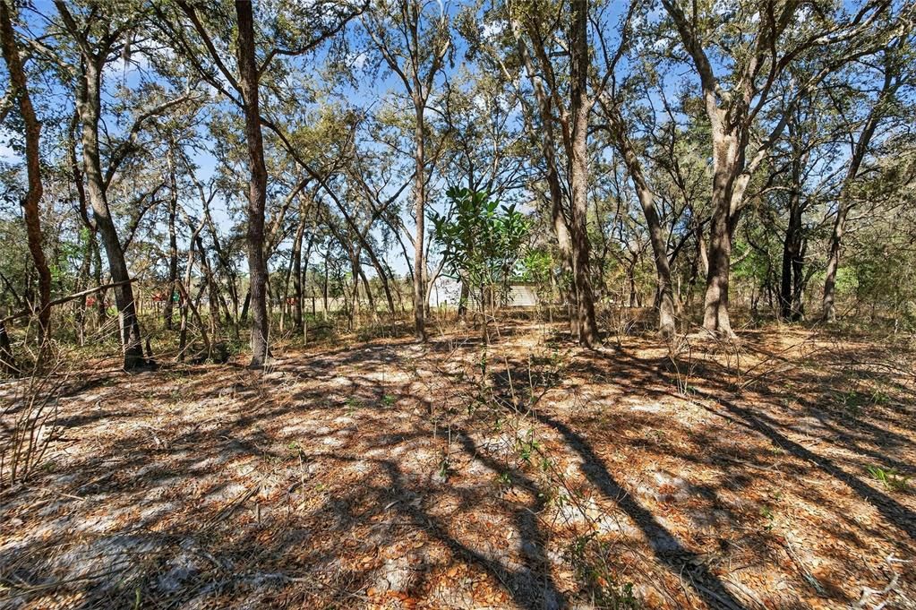 En Venta: $350,000 (3 camas, 2 baños, 1150 Pies cuadrados)