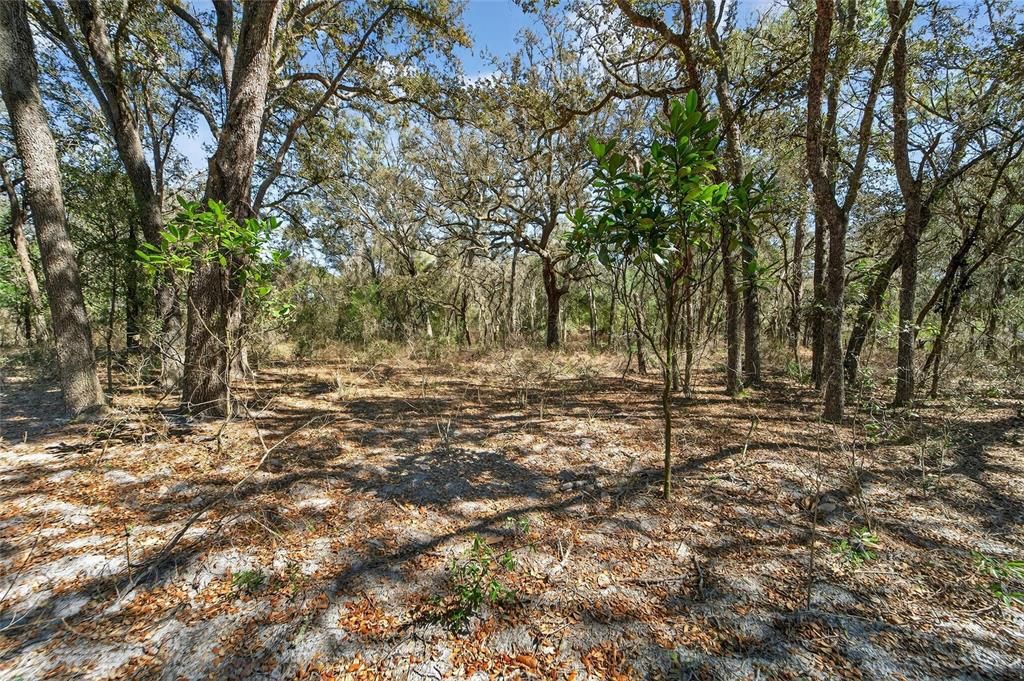 En Venta: $350,000 (3 camas, 2 baños, 1150 Pies cuadrados)