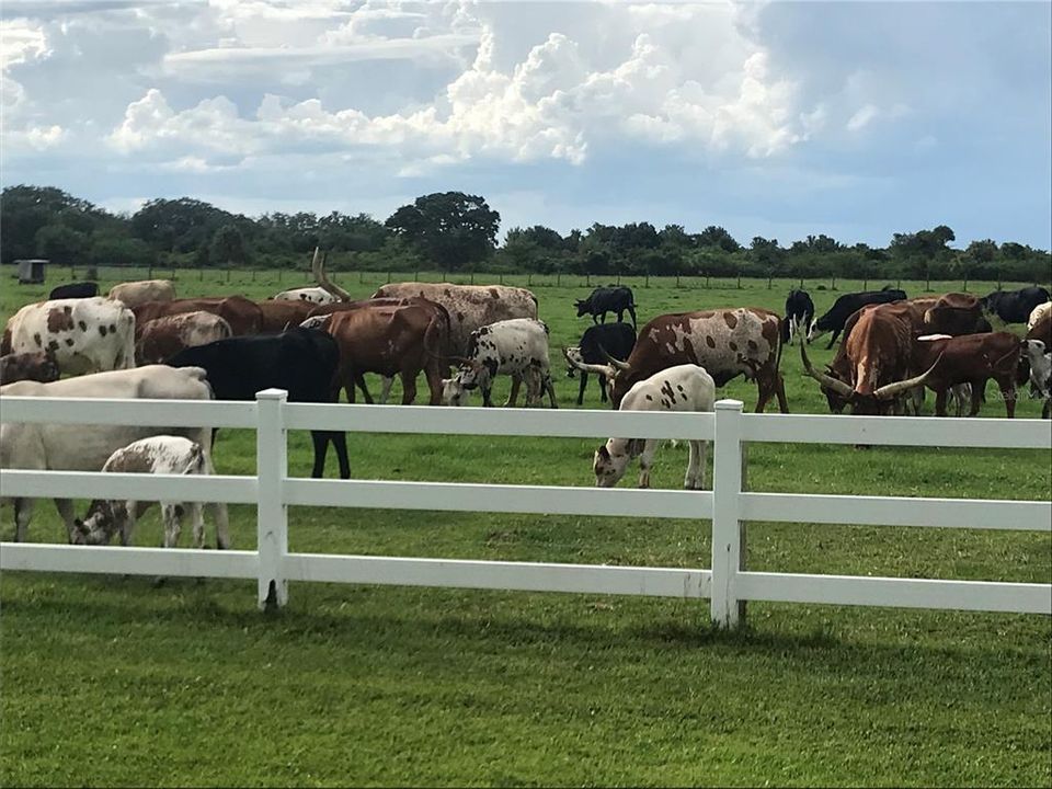 На продажу: $279,000 (0.10 acres)