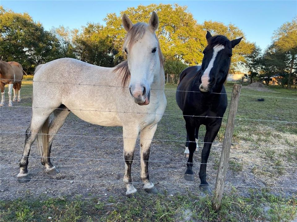 На продажу: $279,000 (0.10 acres)