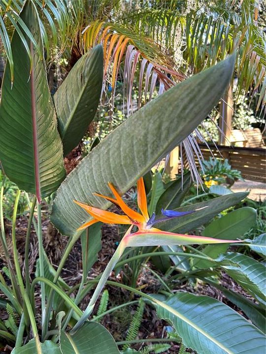 На продажу: $279,000 (0.10 acres)