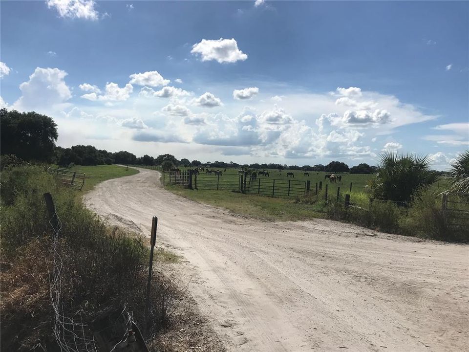 На продажу: $279,000 (0.10 acres)