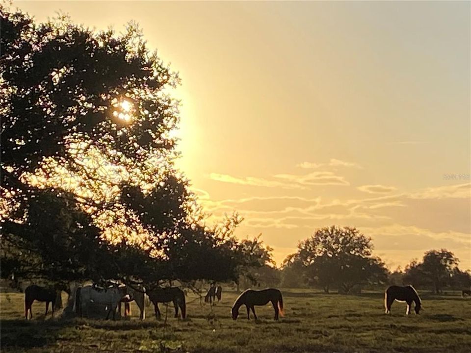 На продажу: $279,000 (0.10 acres)