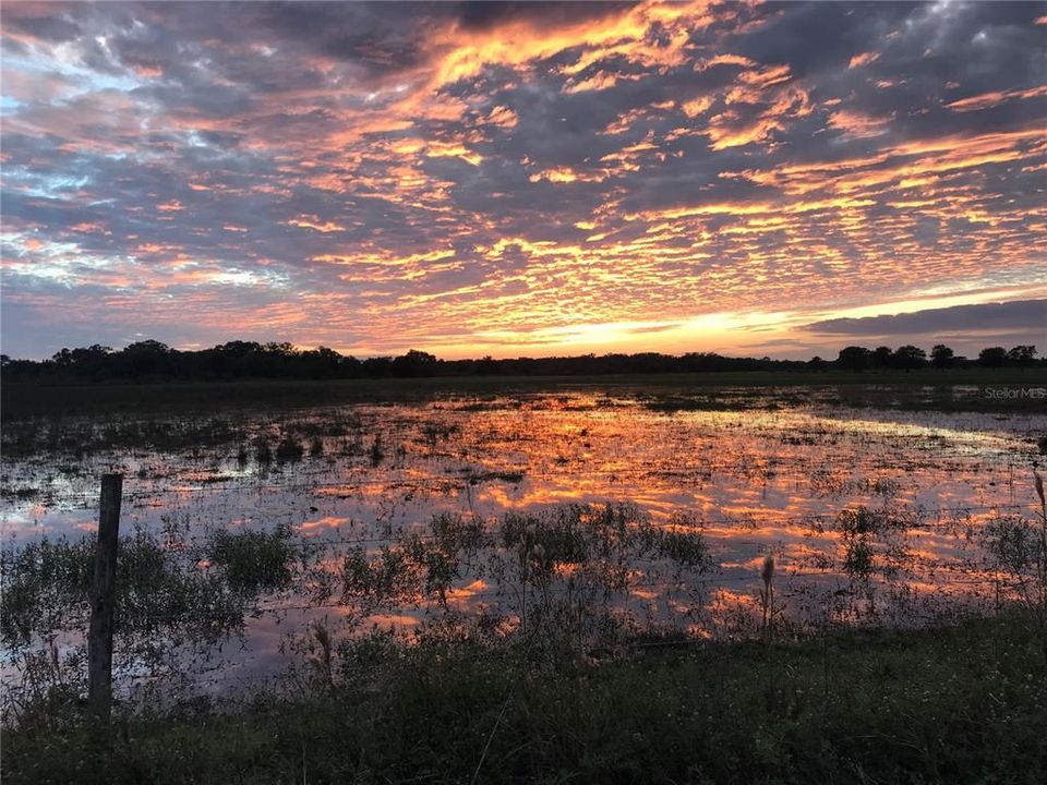 На продажу: $279,000 (0.10 acres)