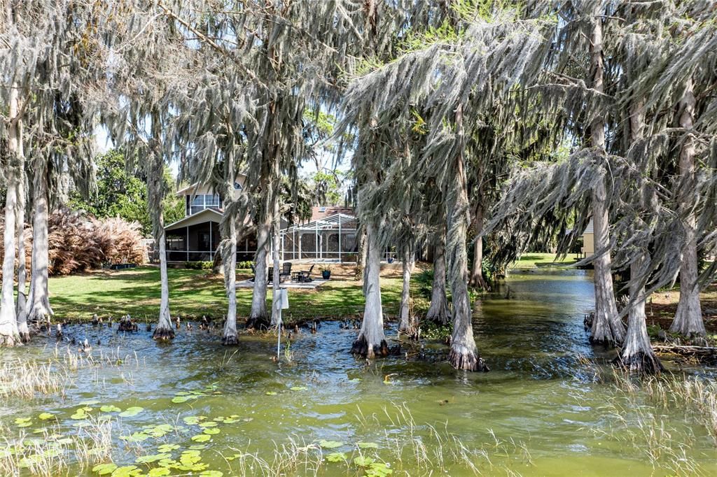 En Venta: $995,000 (3 camas, 2 baños, 3163 Pies cuadrados)