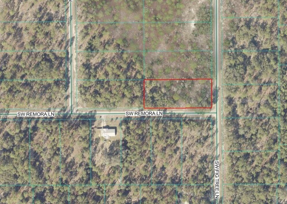 For Sale: $28,000 (1.00 acres)