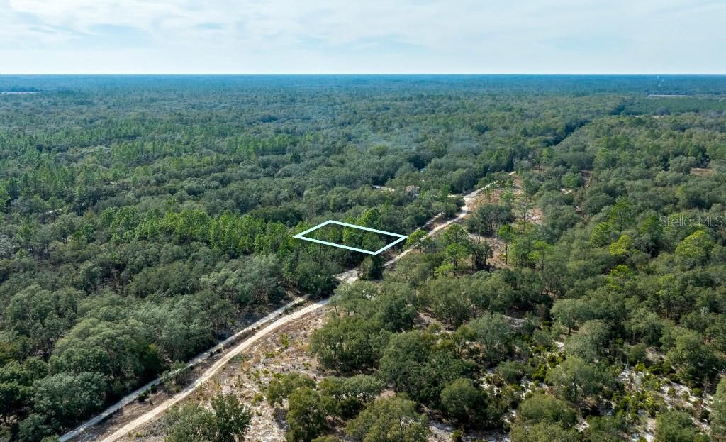 待售: $24,000 (1.25 acres)