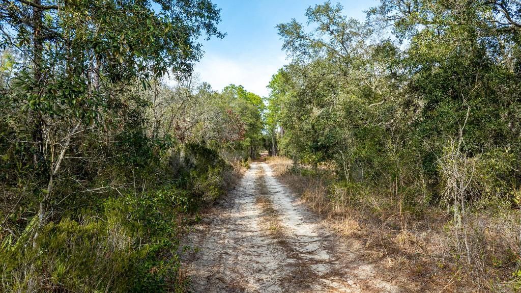 待售: $24,000 (1.25 acres)