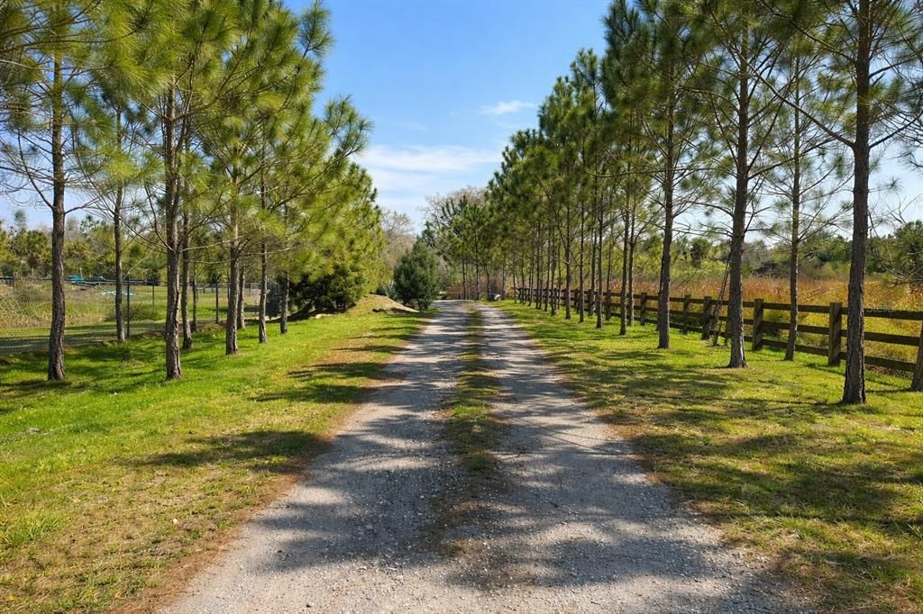 For Sale: $800,000 (5.00 acres)