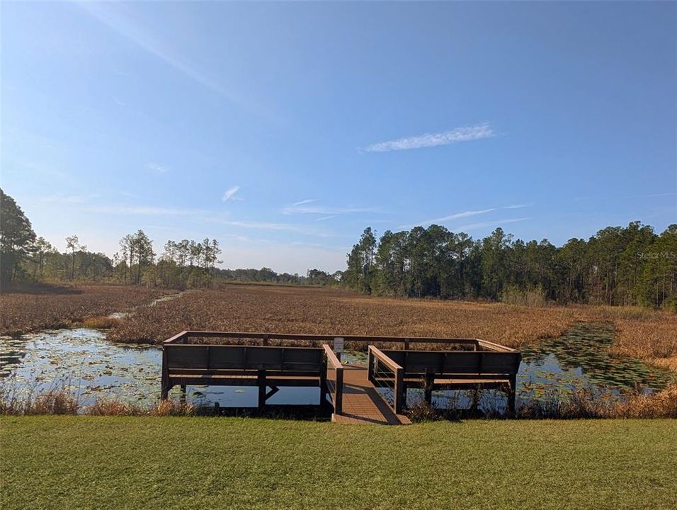 For Sale: $195,000 (3.94 acres)