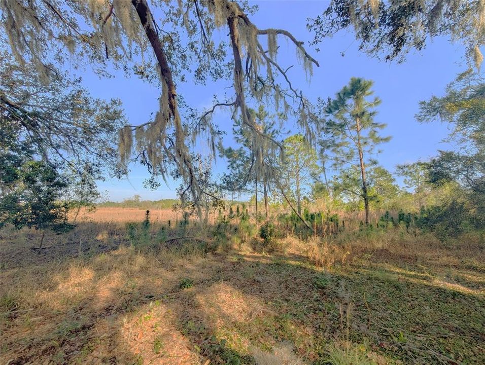 For Sale: $195,000 (3.94 acres)