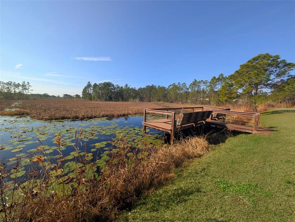 For Sale: $195,000 (3.94 acres)
