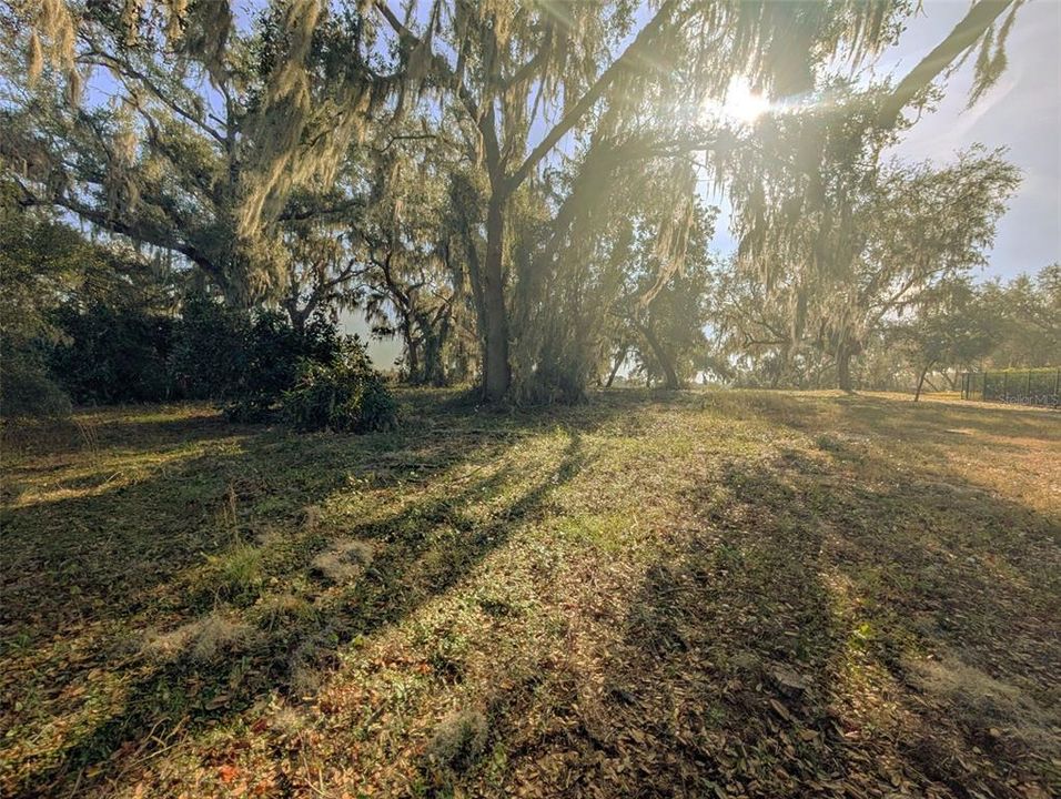 For Sale: $195,000 (3.94 acres)